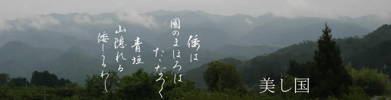 美し国